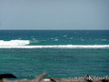 foto de kite