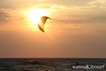 kite surfing photo