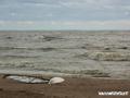 photo de kite