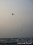 Kitesurfing Foto