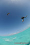 kite surfing photo