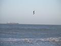 Kitesurfing Foto