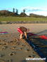 Kitesurfing Foto